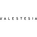 https://excellence.gr/wp-content/uploads/2023/06/kalestesia-logo_min.jpg